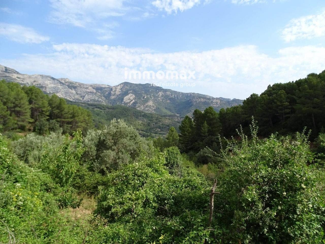 Grunde uden byggetilladelser til salg i Pauls - € 66.000 (Ref: 8050285)