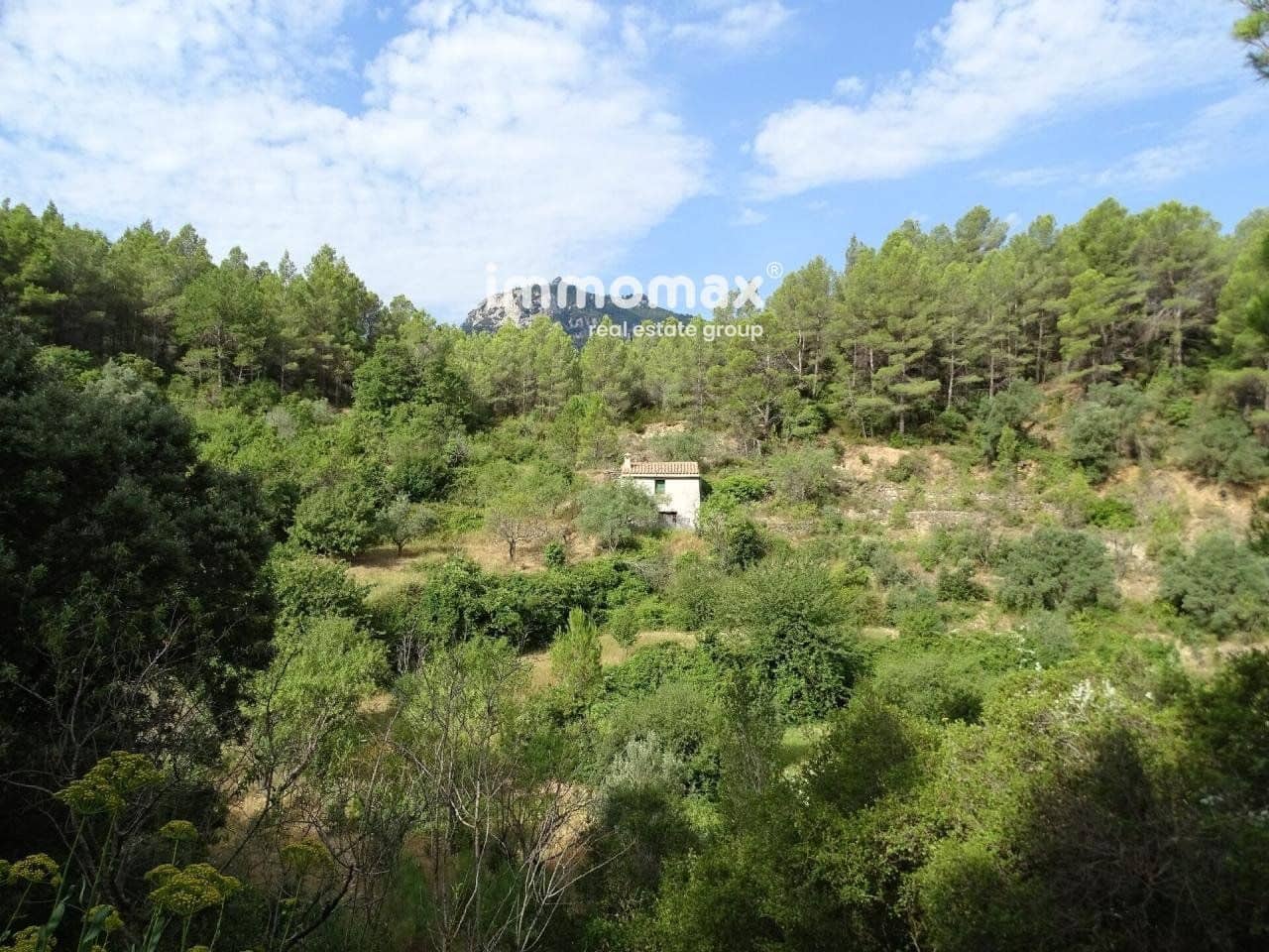 Grunde uden byggetilladelser til salg i Pauls - € 66.000 (Ref: 8050285)