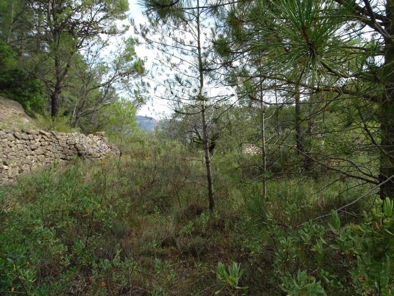 Grunde uden byggetilladelser til salg i Pauls - € 66.000 (Ref: 8050285)