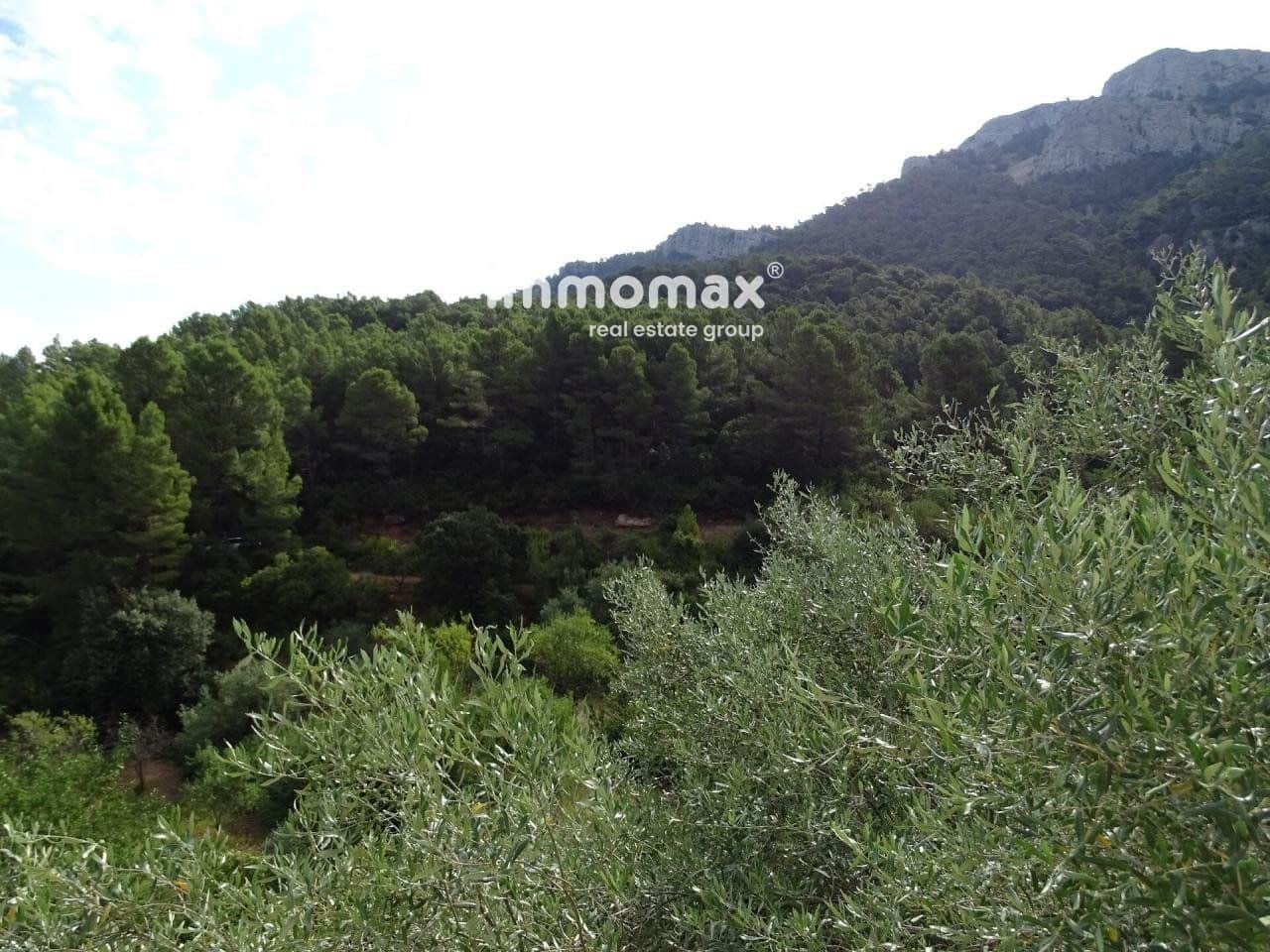 Grunde uden byggetilladelser til salg i Pauls - € 66.000 (Ref: 8050285)