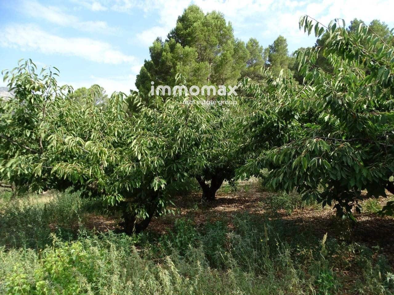 Grunde uden byggetilladelser til salg i Pauls - € 66.000 (Ref: 8050285)