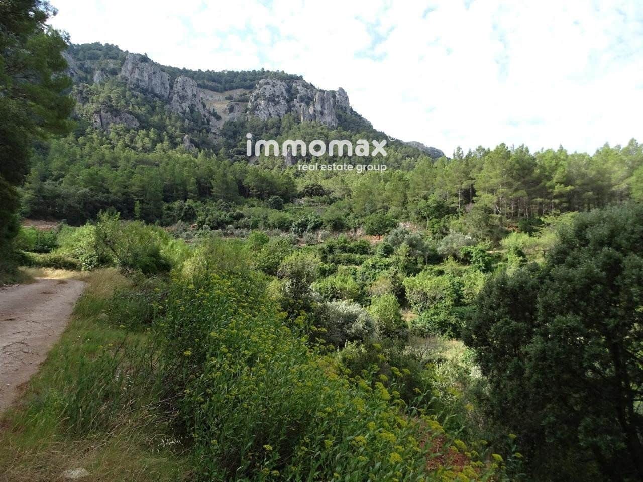 Grunde uden byggetilladelser til salg i Pauls - € 66.000 (Ref: 8050285)