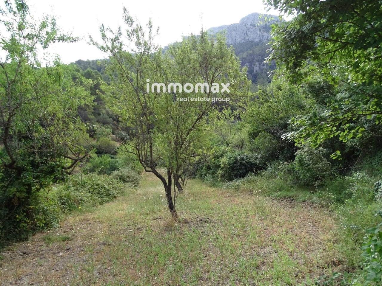 Grunde uden byggetilladelser til salg i Pauls - € 66.000 (Ref: 8050285)