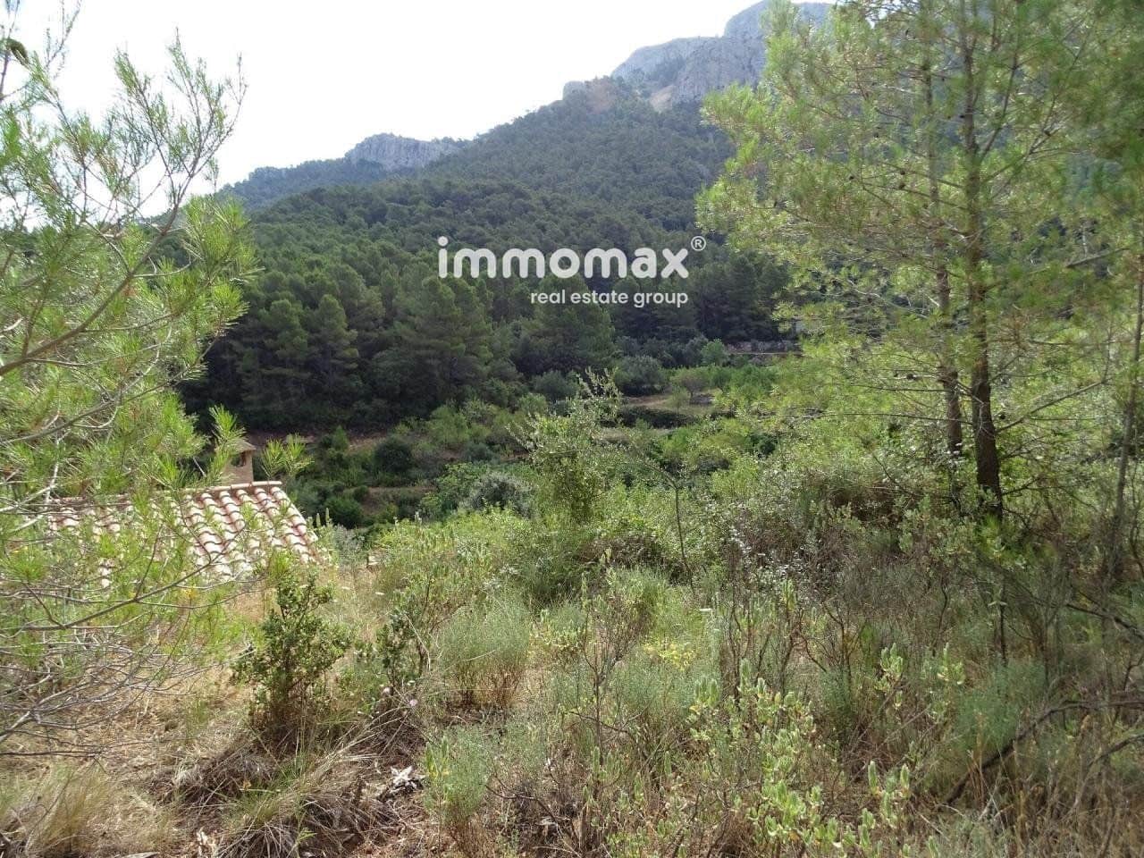 Grunde uden byggetilladelser til salg i Pauls - € 66.000 (Ref: 8050285)