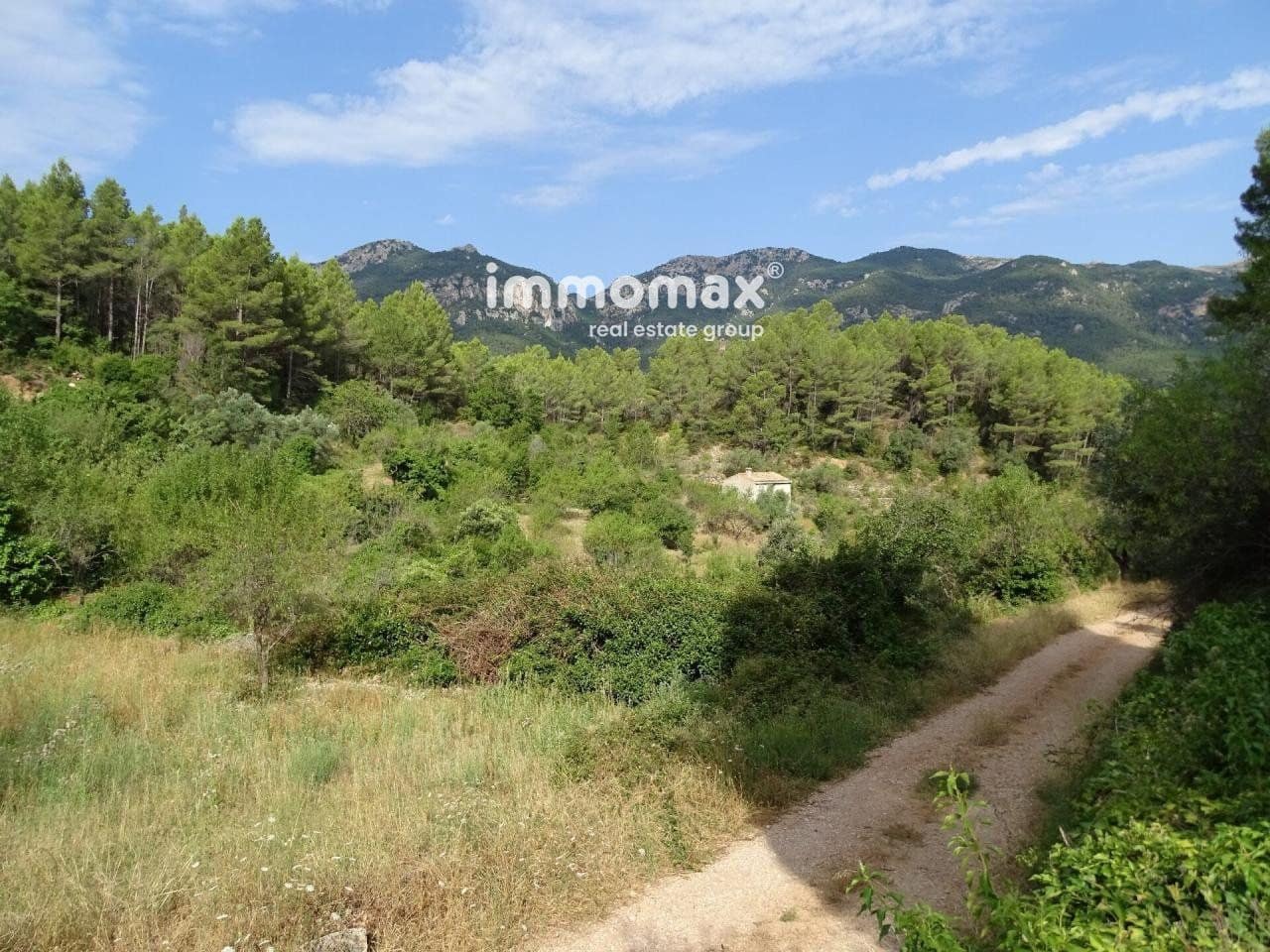 Grunde uden byggetilladelser til salg i Pauls - € 66.000 (Ref: 8050285)