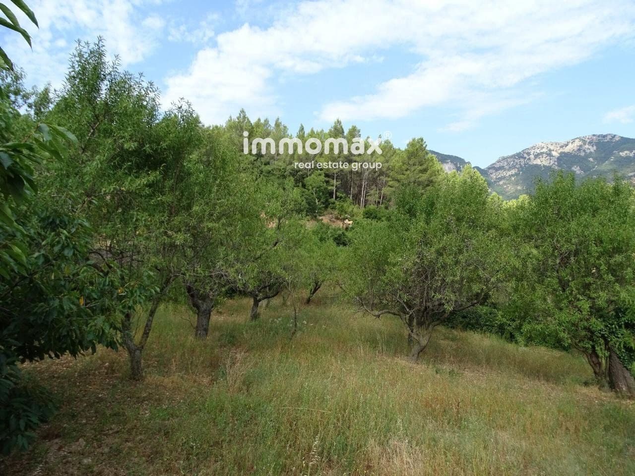 Grunde uden byggetilladelser til salg i Pauls - € 66.000 (Ref: 8050285)