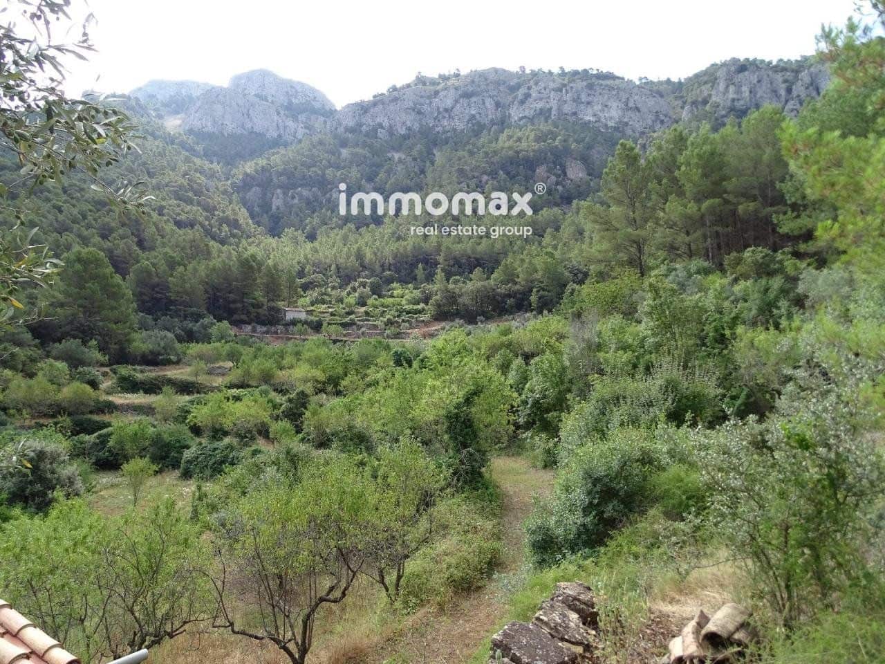 Grunde uden byggetilladelser til salg i Pauls - € 66.000 (Ref: 8050285)