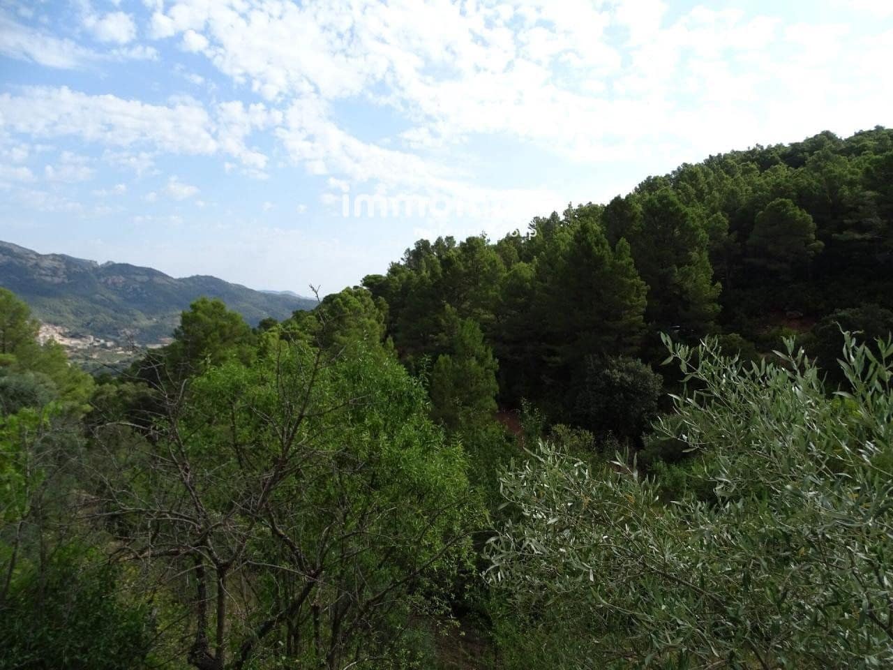 Grunde uden byggetilladelser til salg i Pauls - € 66.000 (Ref: 8050285)