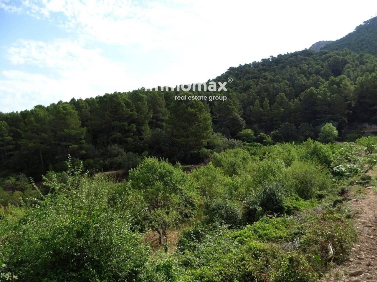 Grunde uden byggetilladelser til salg i Pauls - € 66.000 (Ref: 8050285)