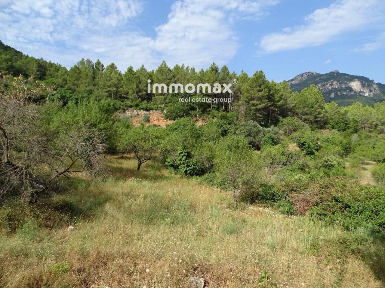 Grunde uden byggetilladelser til salg i Pauls - € 66.000 (Ref: 8050285)