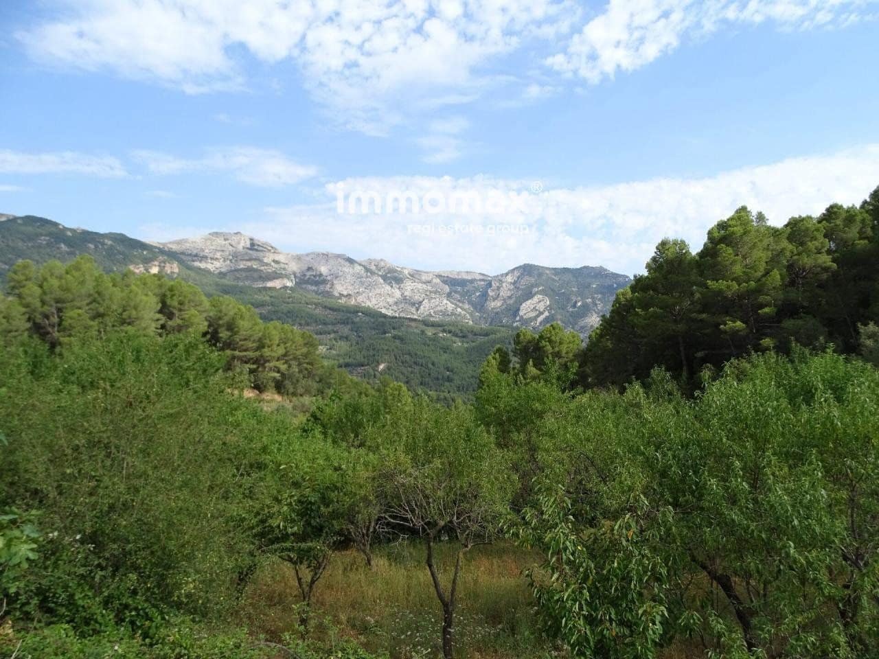 Grunde uden byggetilladelser til salg i Pauls - € 66.000 (Ref: 8050285)