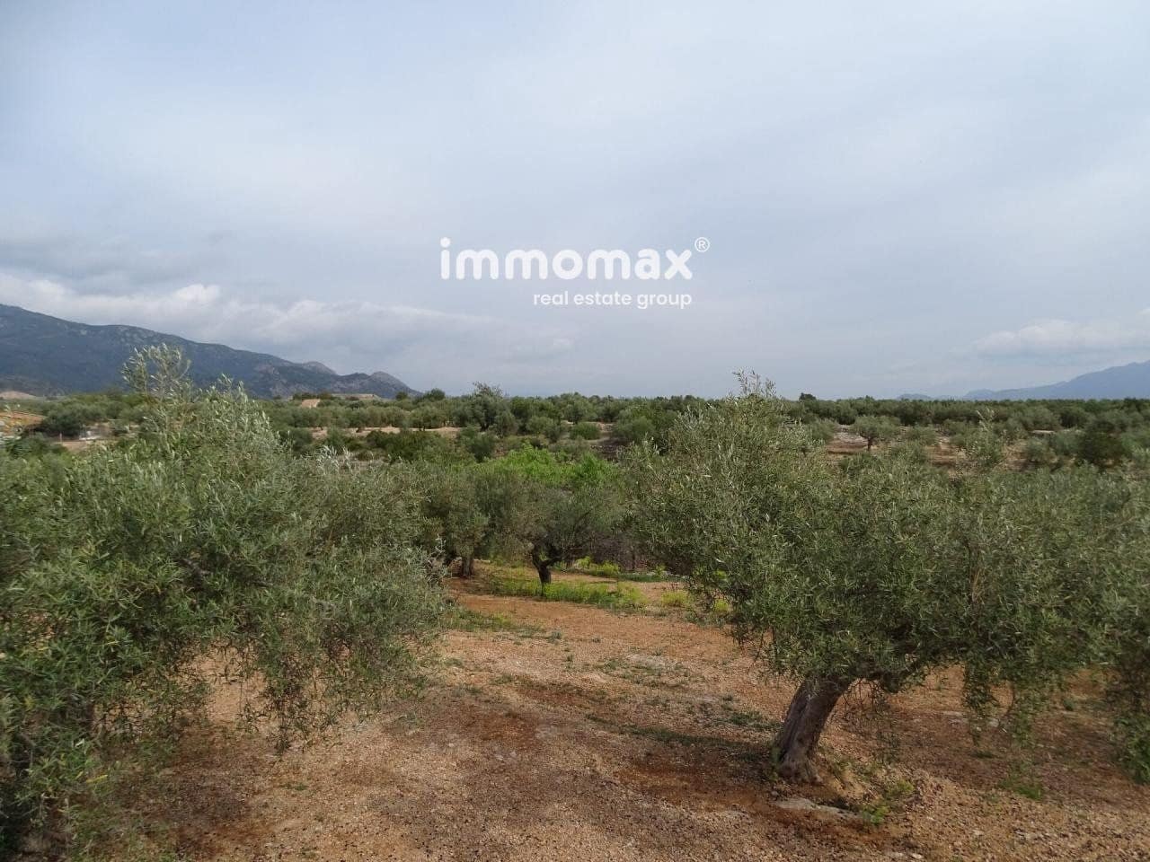 Undeveloped Land for sale in Xerta - € 66,000 (Ref: 8050286)
