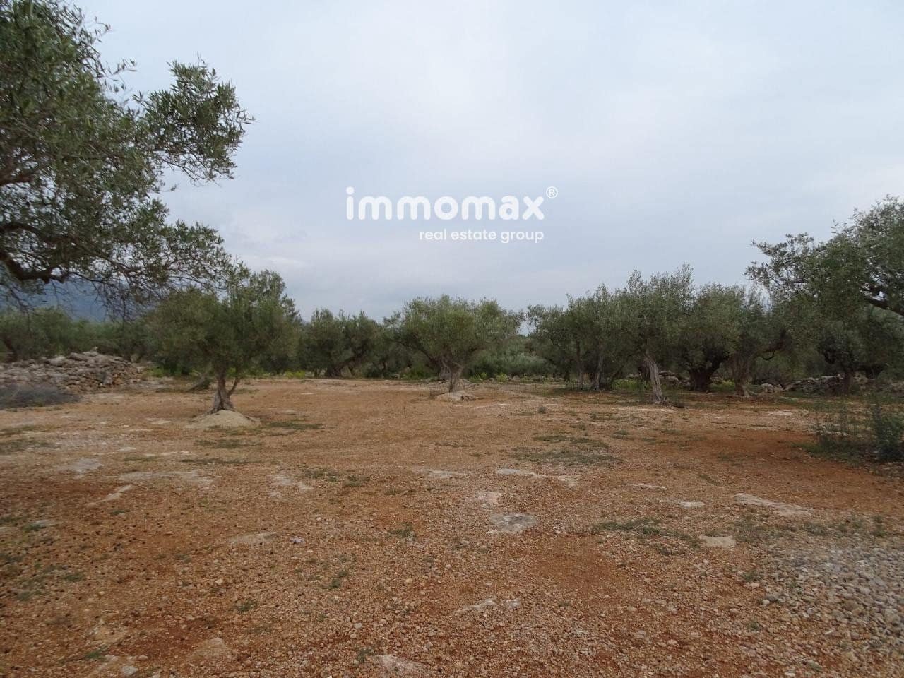 Undeveloped Land for sale in Xerta - € 66,000 (Ref: 8050286)