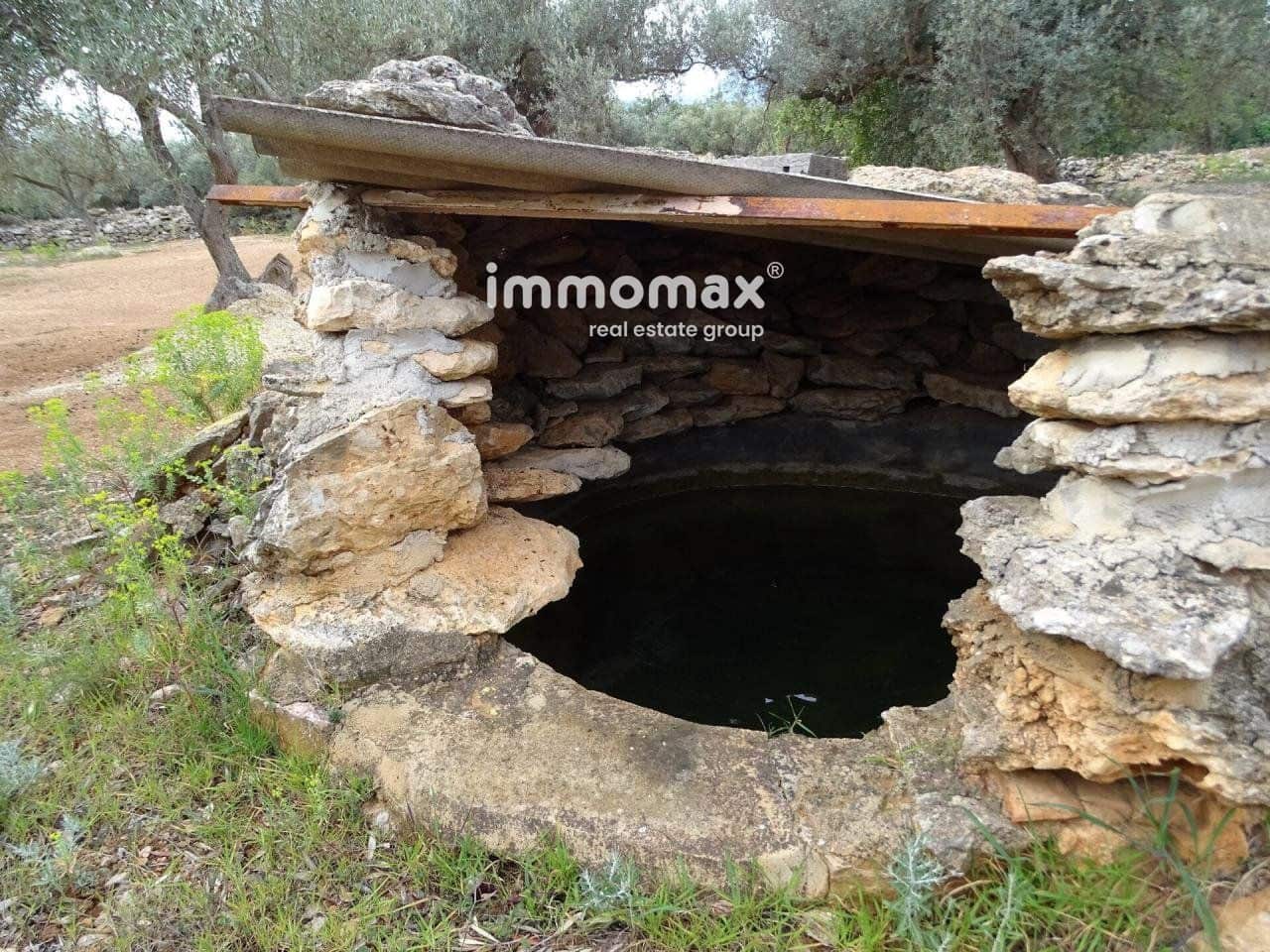 Undeveloped Land for sale in Xerta - € 66,000 (Ref: 8050286)