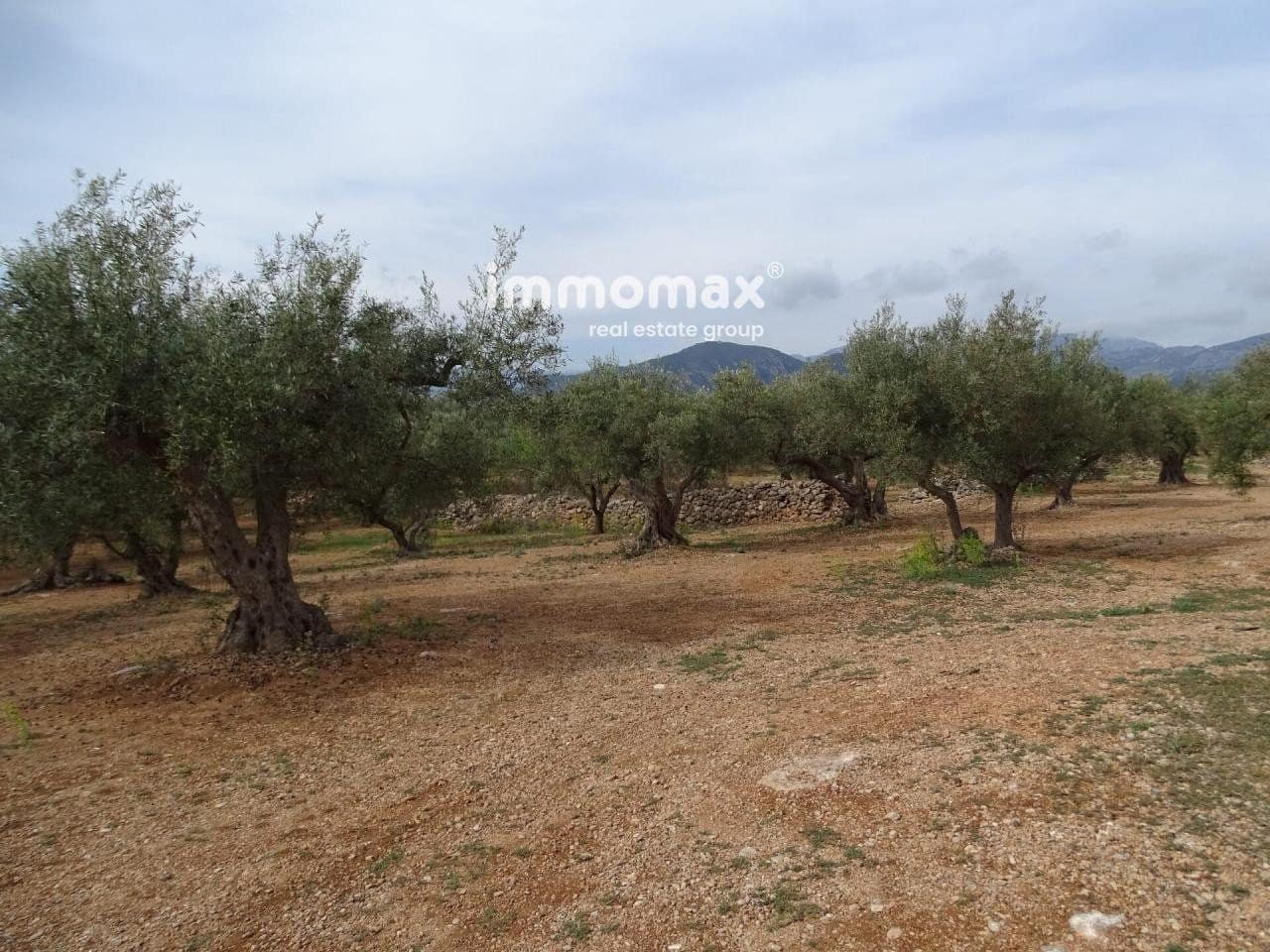 Undeveloped Land for sale in Xerta - € 66,000 (Ref: 8050286)