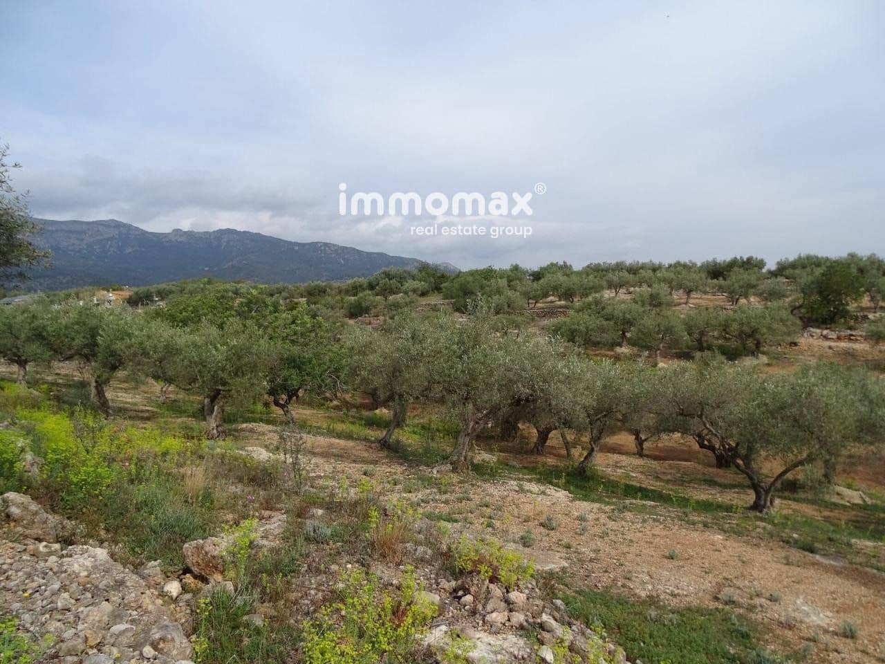 Undeveloped Land for sale in Xerta - € 66,000 (Ref: 8050286)