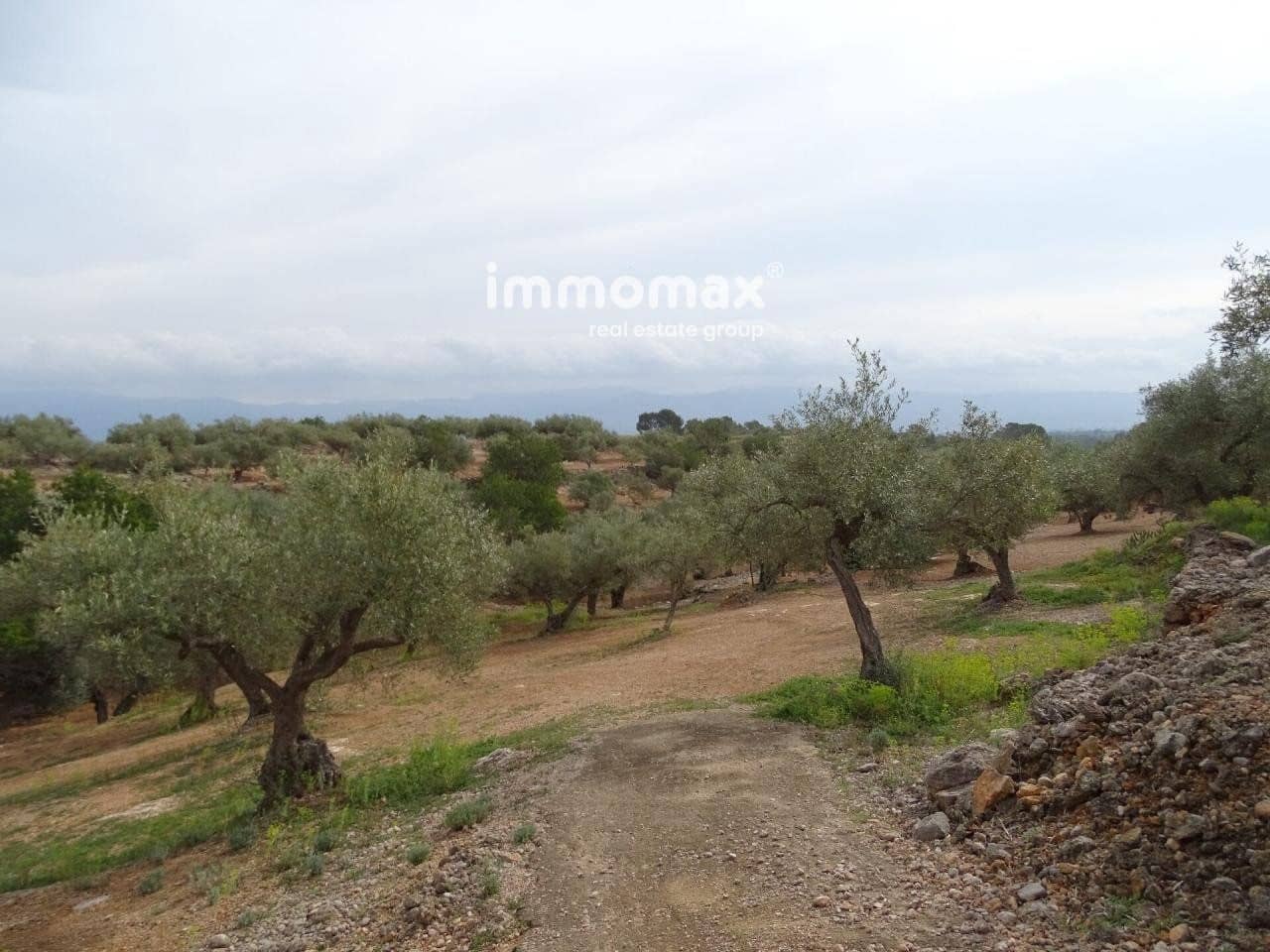 Undeveloped Land for sale in Xerta - € 66,000 (Ref: 8050286)
