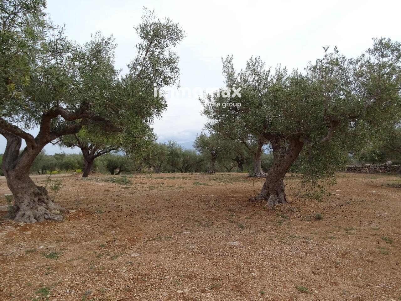 Undeveloped Land for sale in Xerta - € 66,000 (Ref: 8050286)
