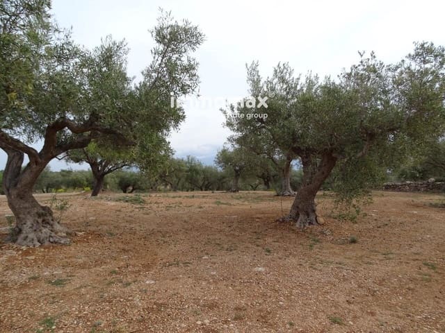Undeveloped Land for sale in Xerta - € 66,000 (Ref: 8050286)