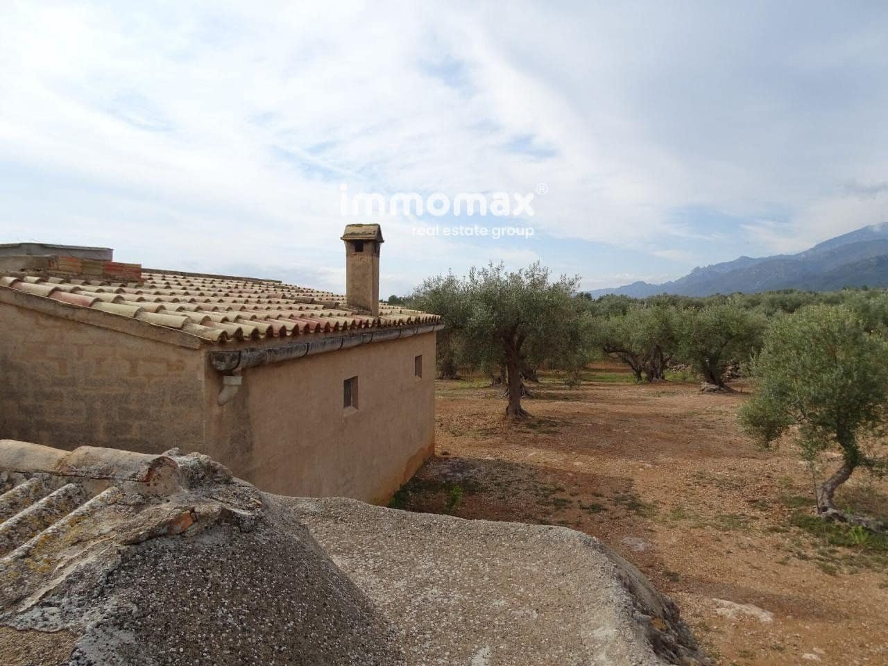 Undeveloped Land for sale in Xerta - € 66,000 (Ref: 8050286)