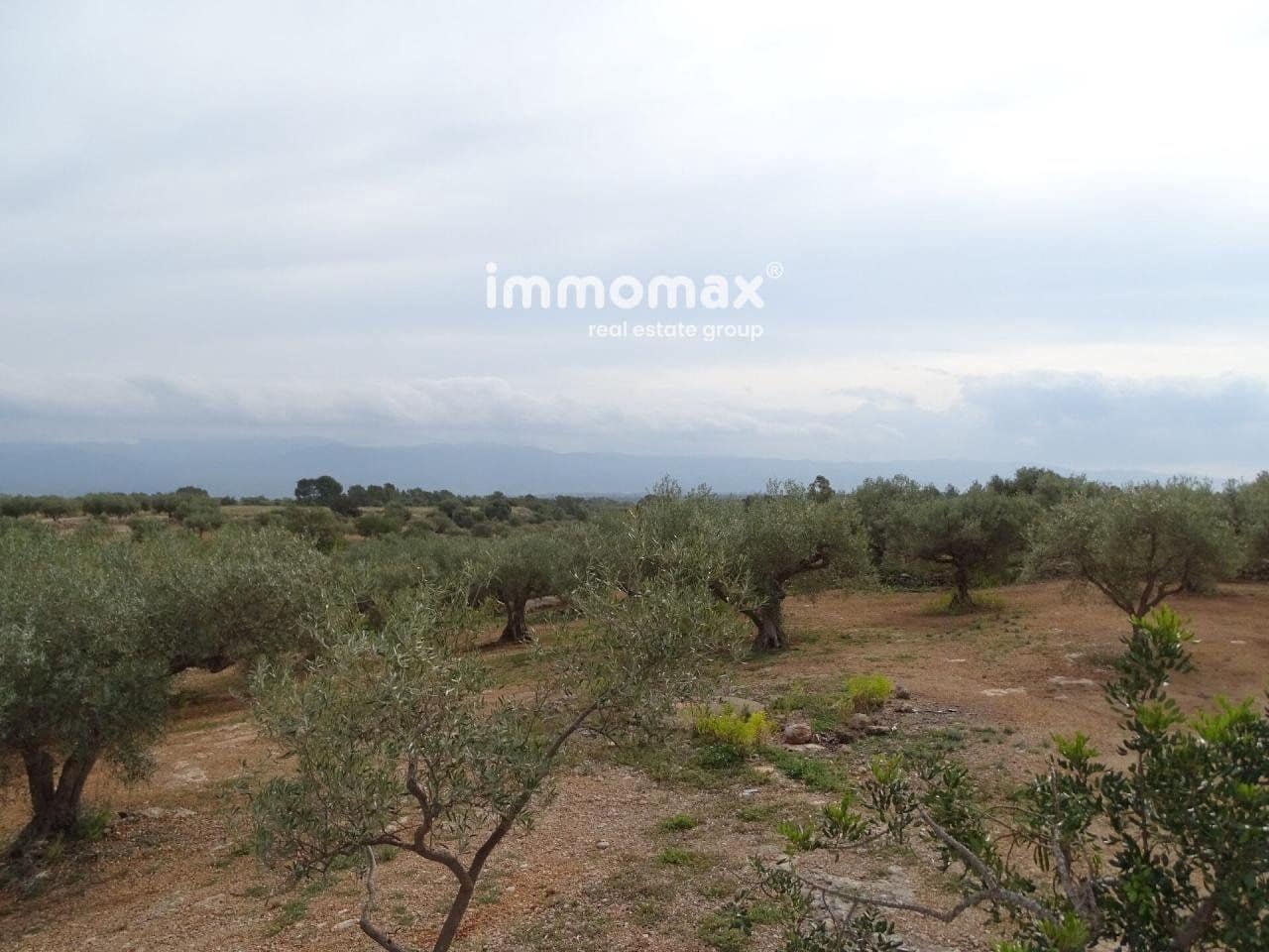 Undeveloped Land for sale in Xerta - € 66,000 (Ref: 8050286)