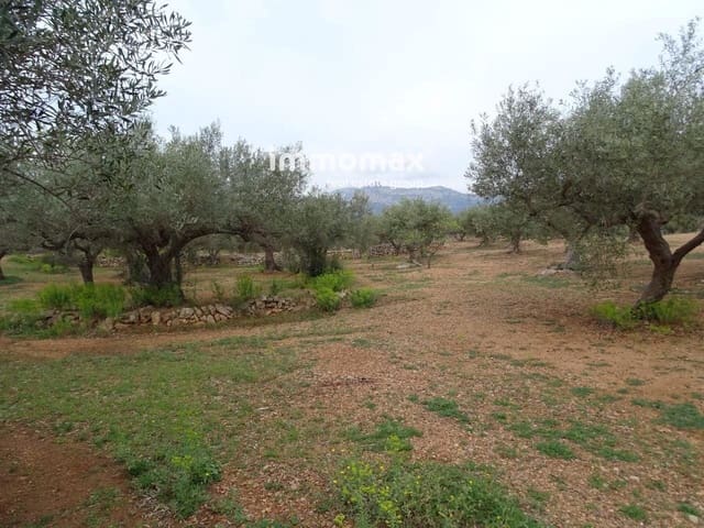 Undeveloped Land for sale in Xerta - € 66,000 (Ref: 8050286)