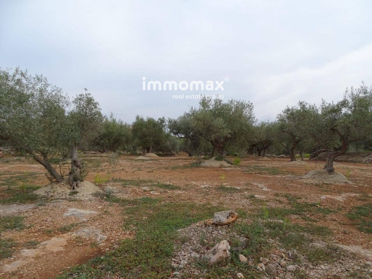 Undeveloped Land for sale in Xerta - € 66,000 (Ref: 8050286)