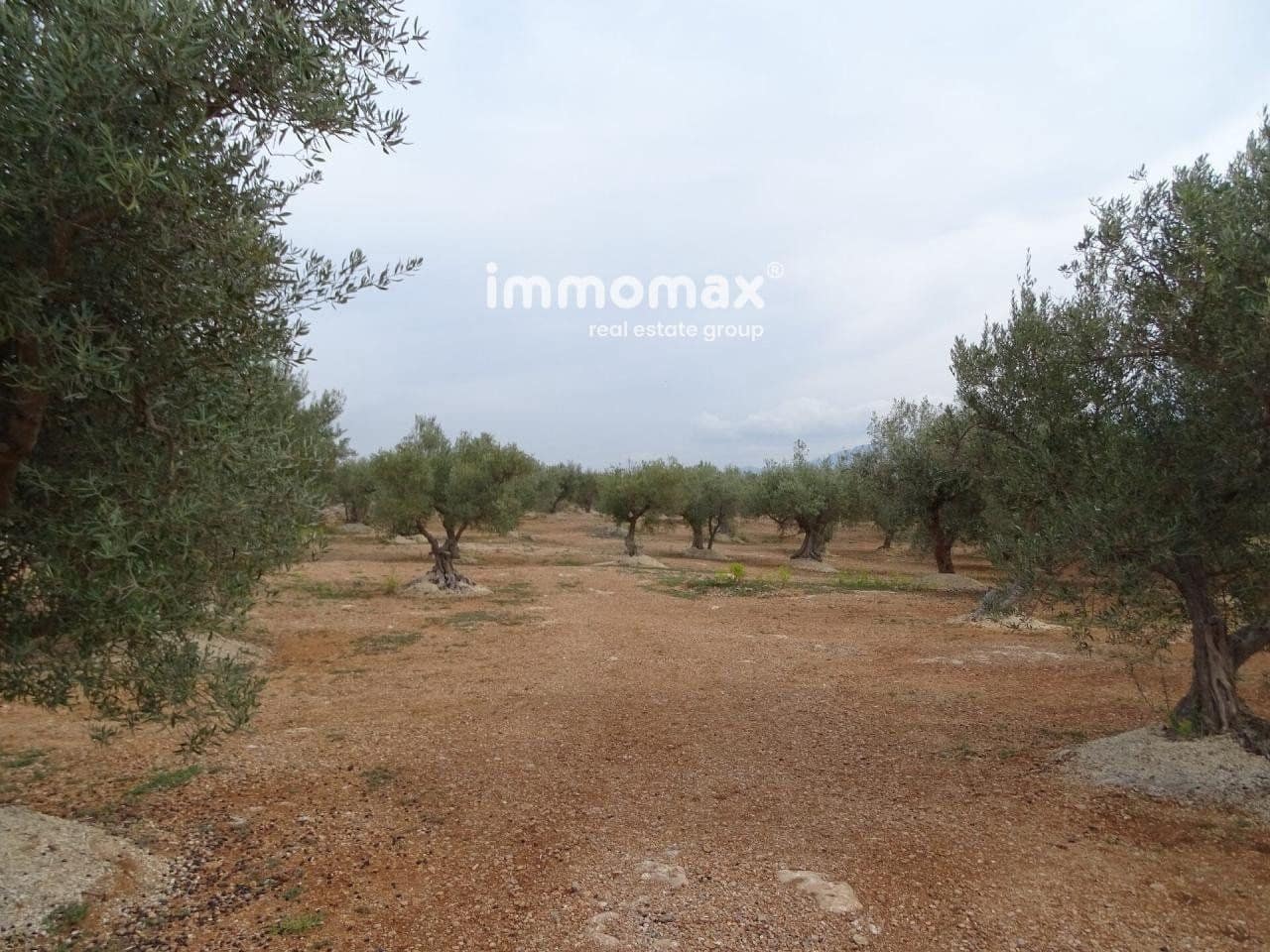 Undeveloped Land for sale in Xerta - € 66,000 (Ref: 8050286)
