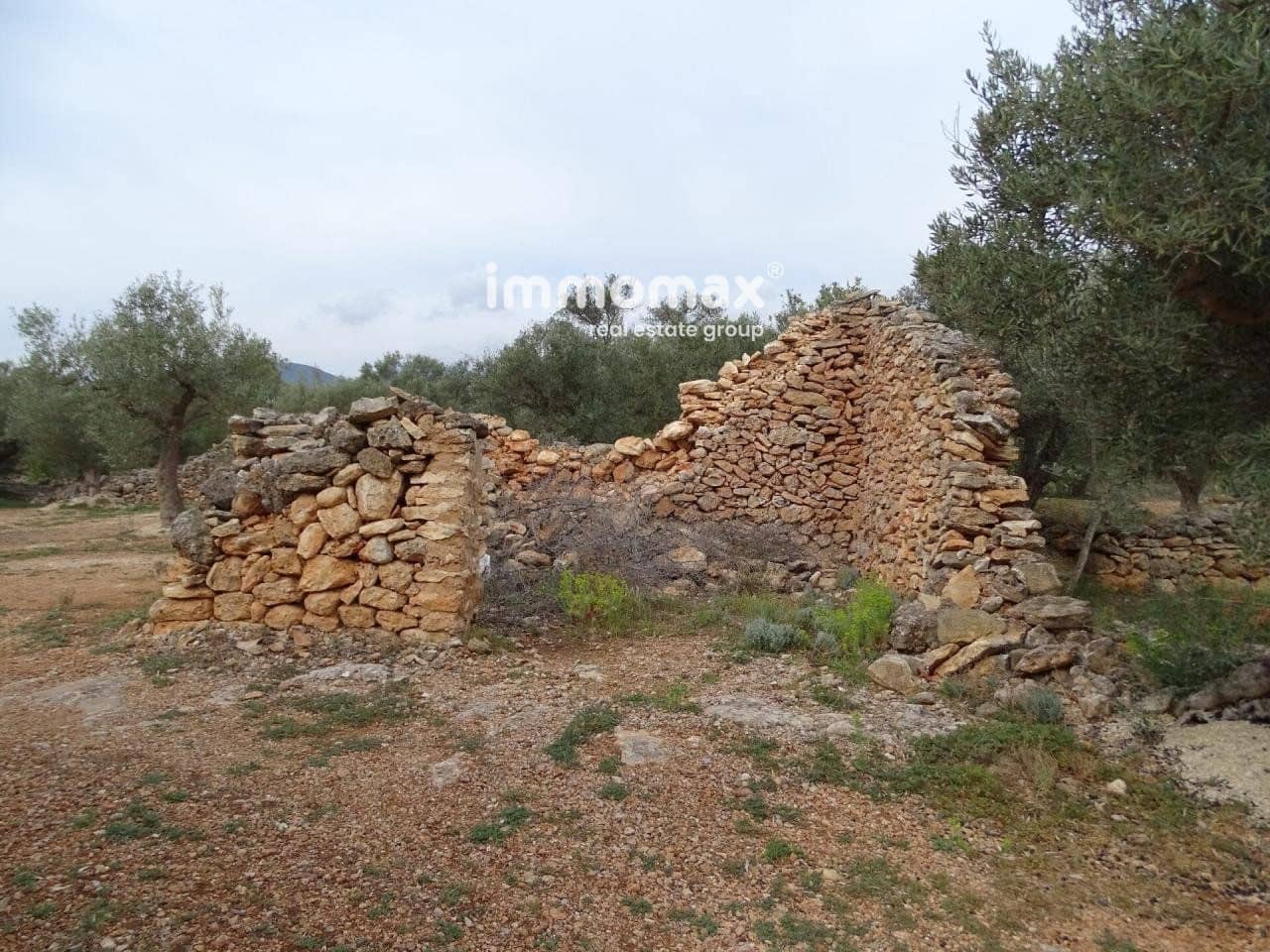 Undeveloped Land for sale in Xerta - € 66,000 (Ref: 8050286)
