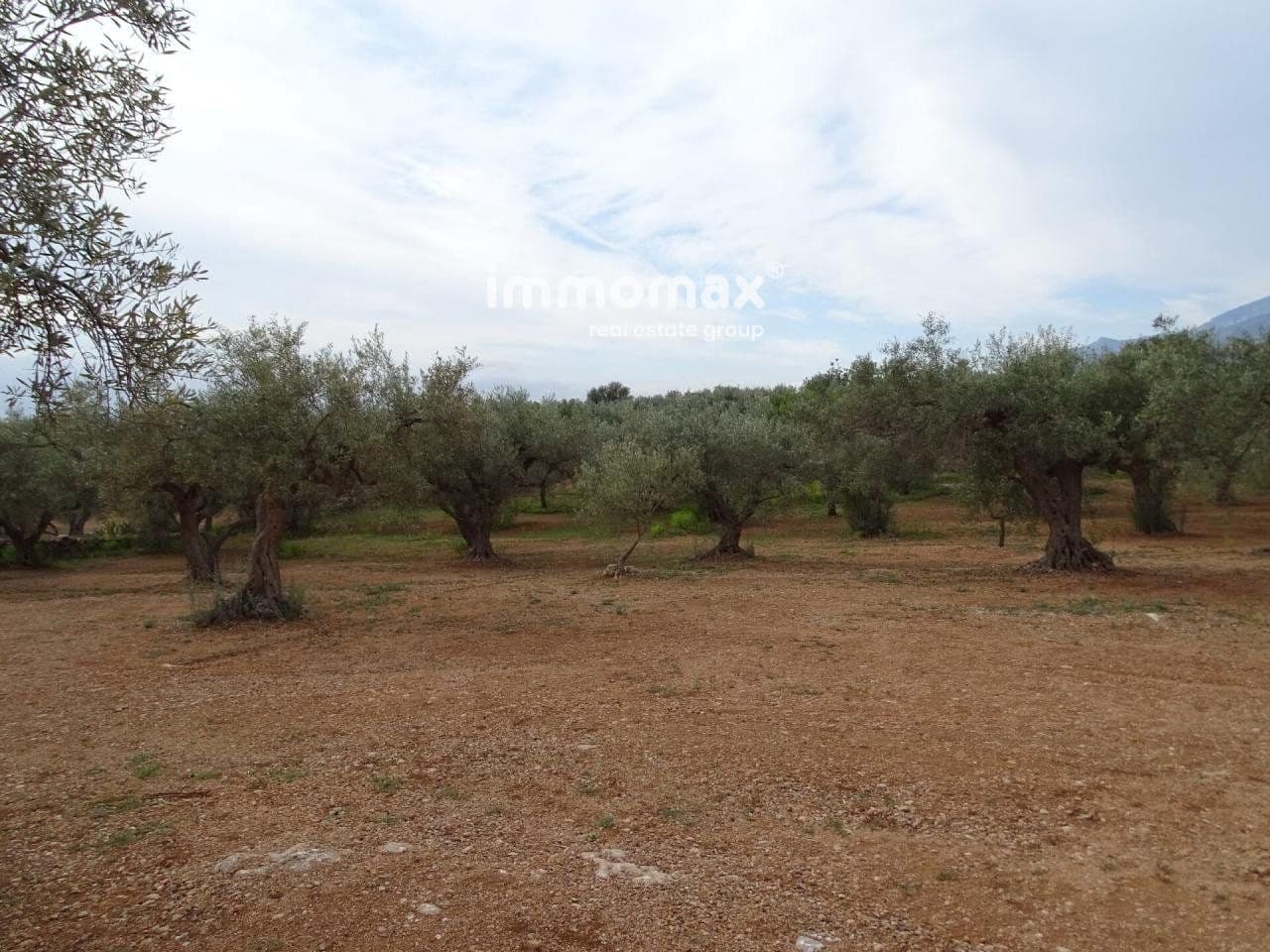 Undeveloped Land for sale in Xerta - € 66,000 (Ref: 8050286)