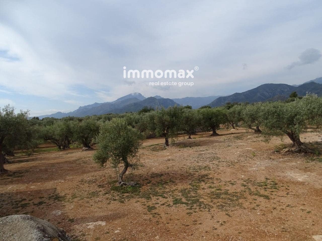 Undeveloped Land for sale in Xerta - € 66,000 (Ref: 8050286)