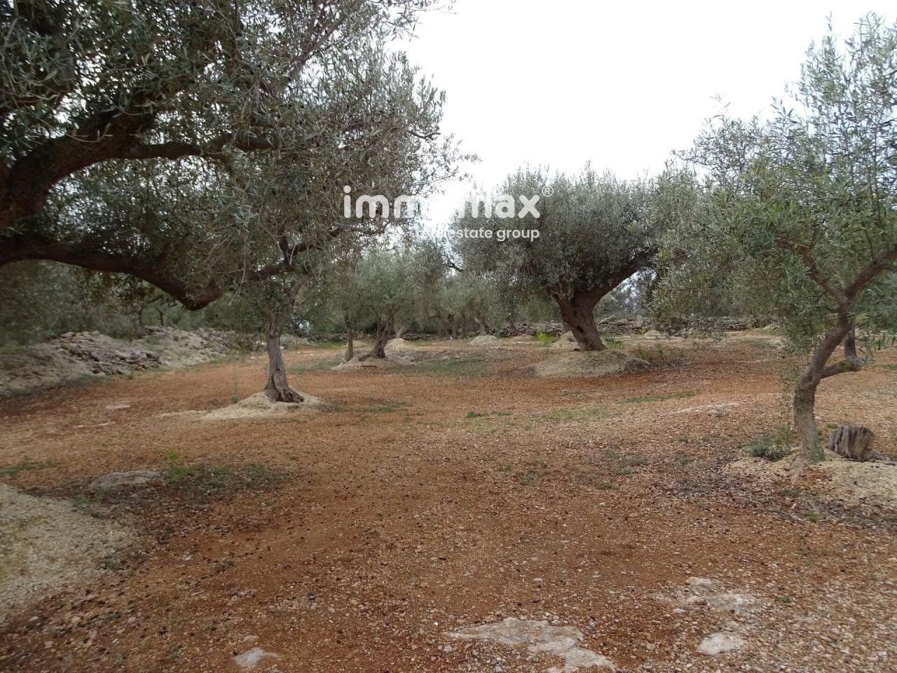 Undeveloped Land for sale in Xerta - € 66,000 (Ref: 8050286)