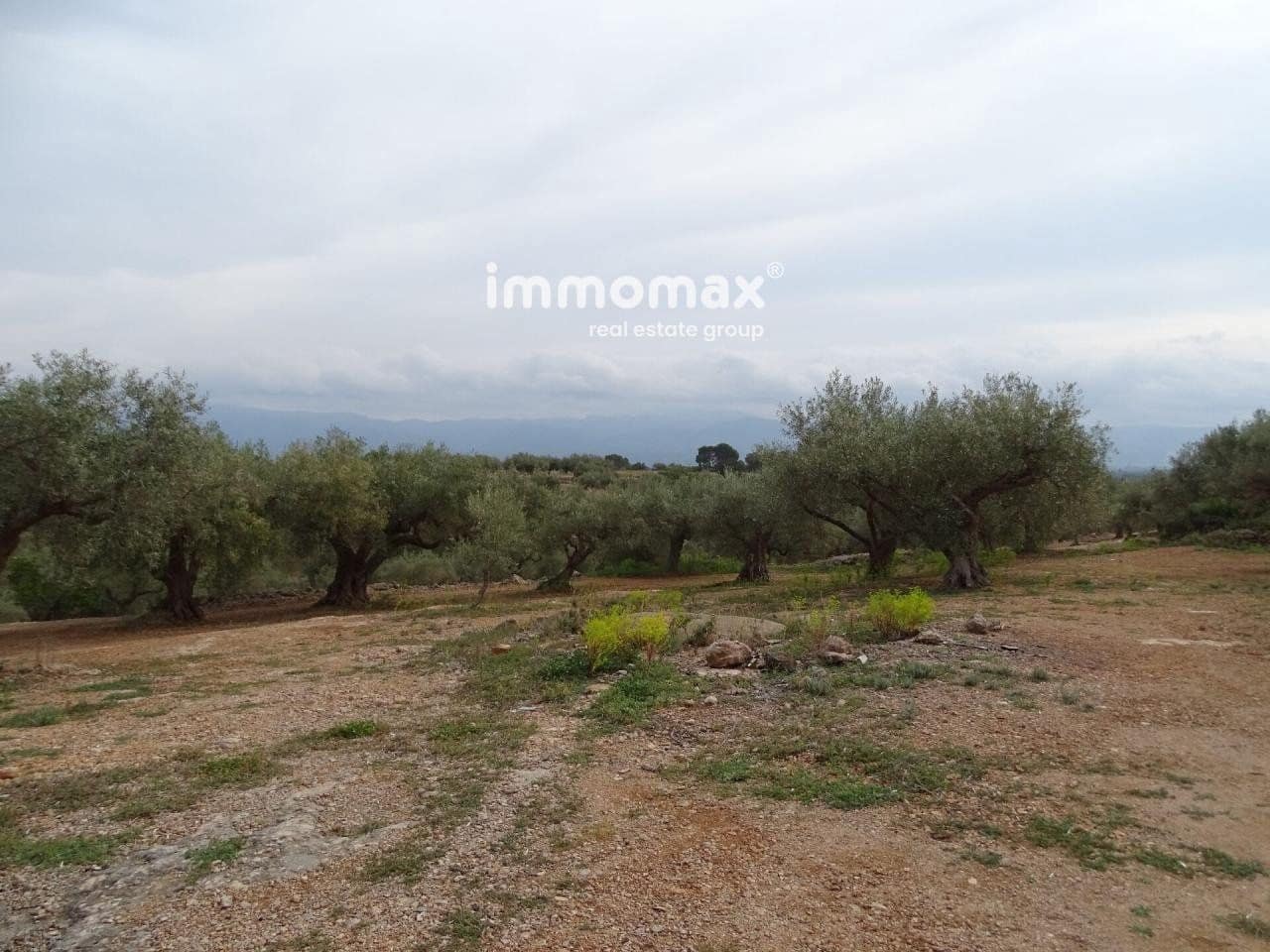 Undeveloped Land for sale in Xerta - € 66,000 (Ref: 8050286)