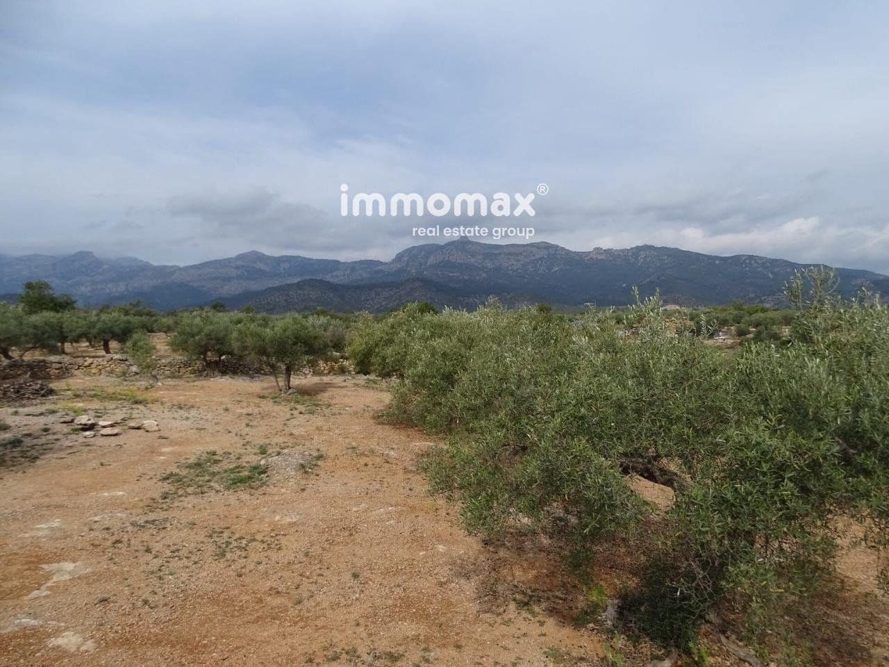 Undeveloped Land for sale in Xerta - € 66,000 (Ref: 8050286)