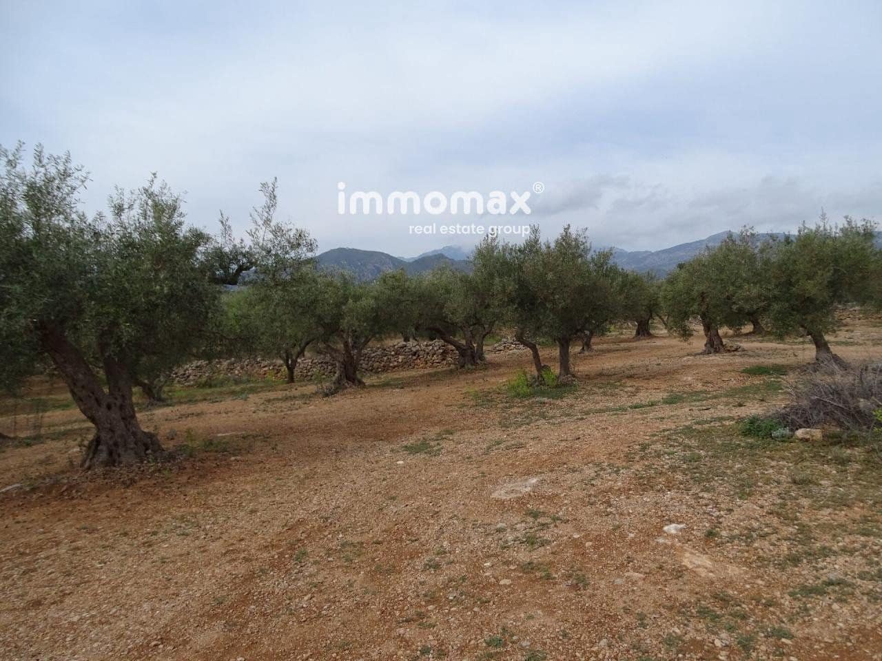 Undeveloped Land for sale in Xerta - € 66,000 (Ref: 8050286)