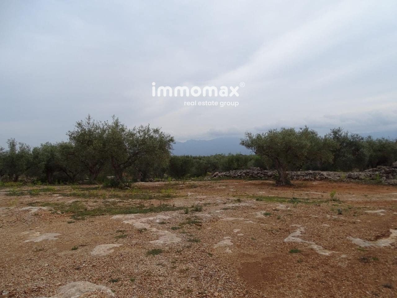 Undeveloped Land for sale in Xerta - € 66,000 (Ref: 8050286)