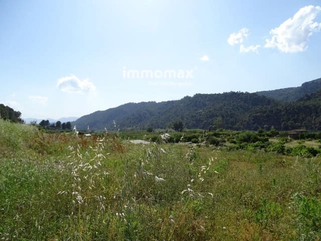 Undeveloped Land for sale in Benifallet - € 66,000 (Ref: 8050288)