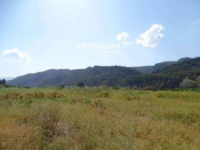 Undeveloped Land for sale in Benifallet - € 66,000 (Ref: 8050288)