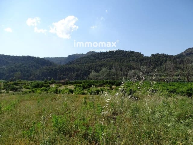 Undeveloped Land for sale in Benifallet - € 66,000 (Ref: 8050288)