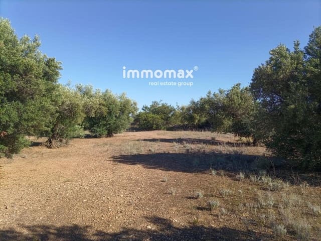 Undeveloped Land for sale in Xerta - € 33,000 (Ref: 8050289)