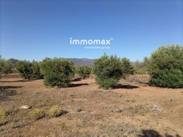Undeveloped Land for sale in Xerta - € 33,000 (Ref: 8050289)