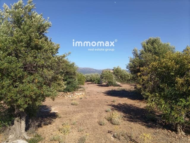 Undeveloped Land for sale in Xerta - € 33,000 (Ref: 8050289)
