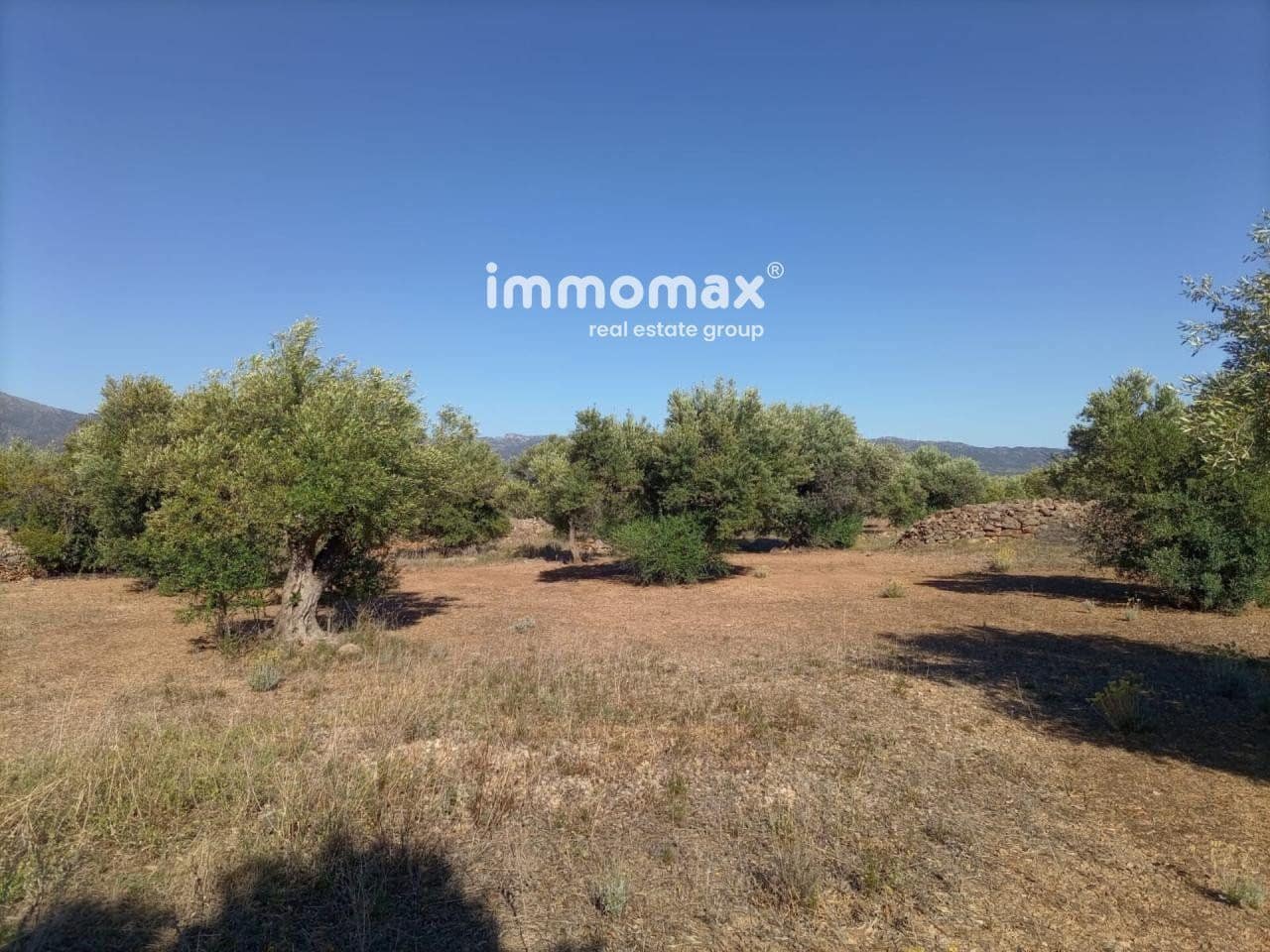 Undeveloped Land for sale in Xerta - € 33,000 (Ref: 8050289)