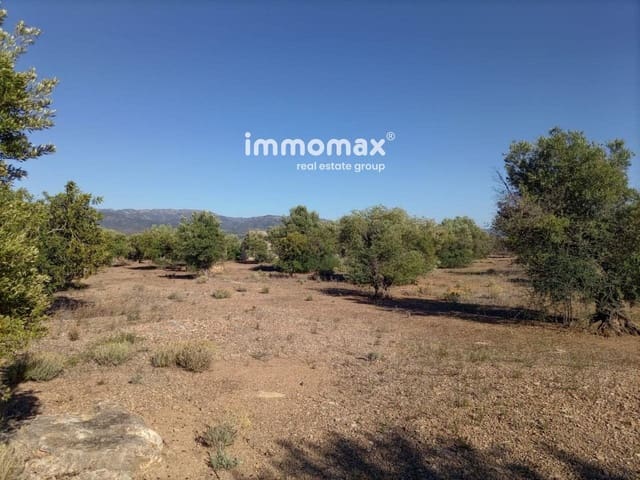Undeveloped Land for sale in Xerta - € 33,000 (Ref: 8050289)