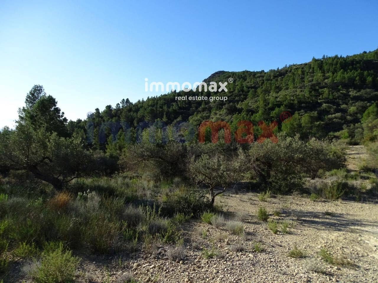 Terre non Aménagée à vendre à Xerta - 49 000 € (Ref: 8050301)