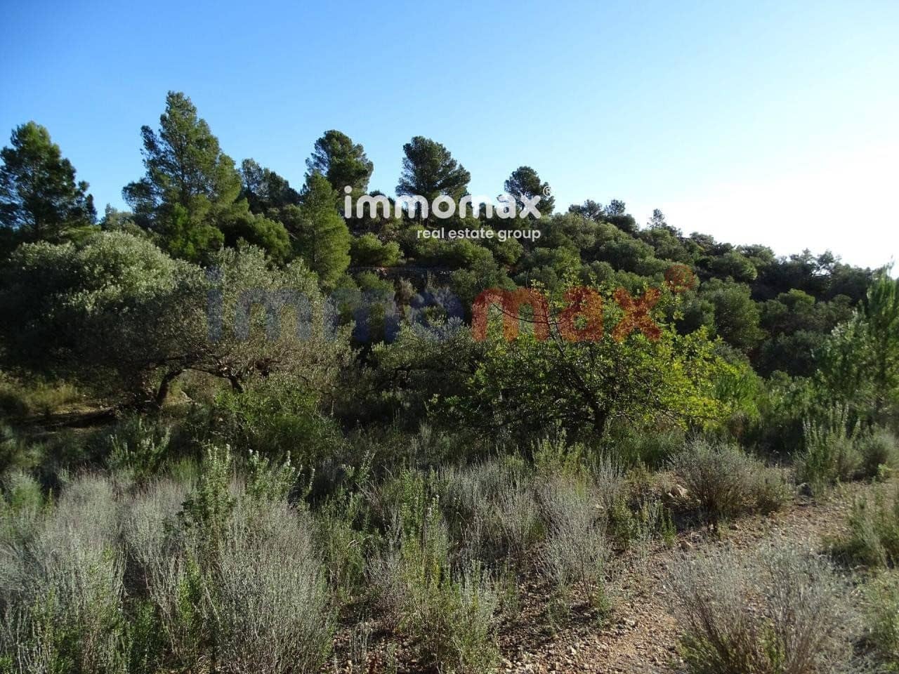 Terre non Aménagée à vendre à Xerta - 49 000 € (Ref: 8050301)