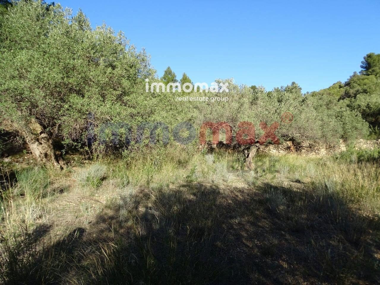 Terre non Aménagée à vendre à Xerta - 49 000 € (Ref: 8050301)