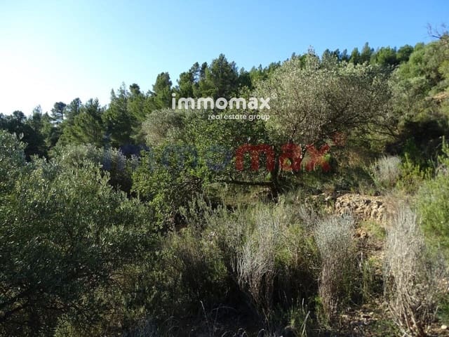 Undeveloped Land for sale in Xerta - € 49,000 (Ref: 8050301)