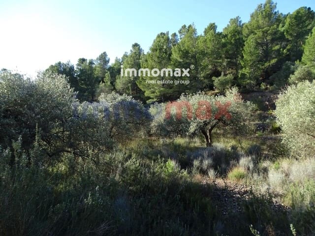 Undeveloped Land for sale in Xerta - € 49,000 (Ref: 8050301)