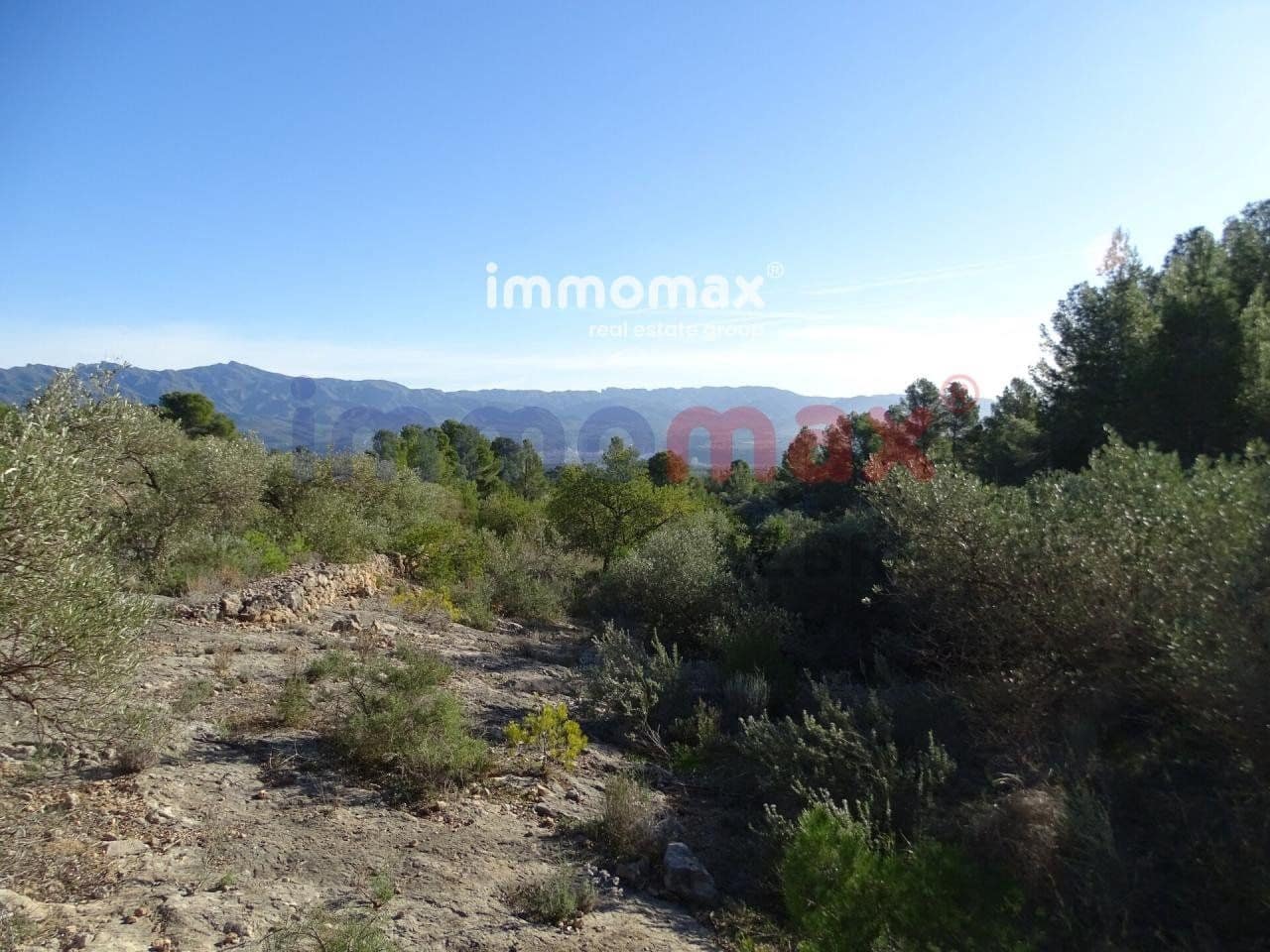 Terre non Aménagée à vendre à Xerta - 49 000 € (Ref: 8050301)